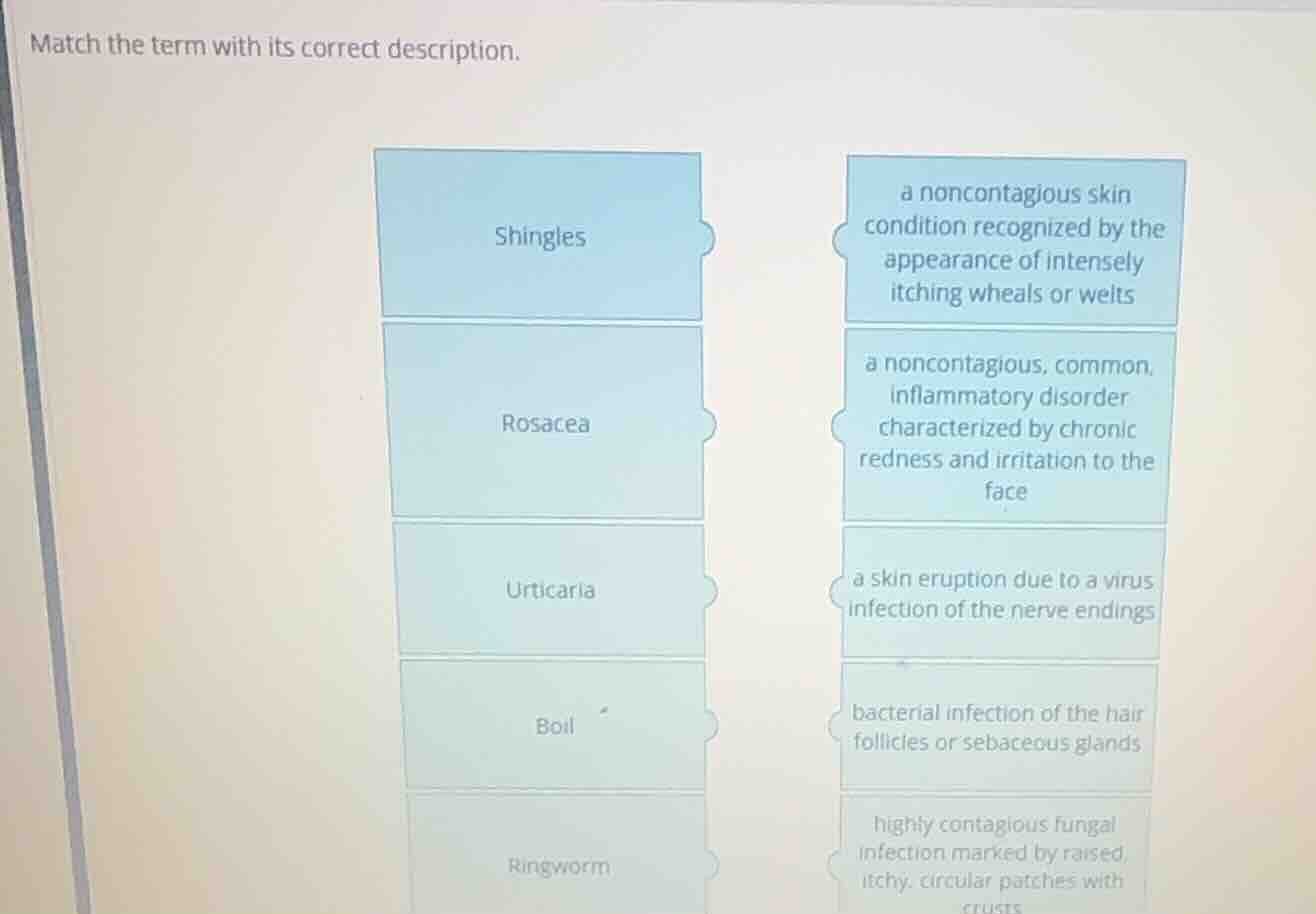match the term with its correct description. shingles rosacea urticaria…