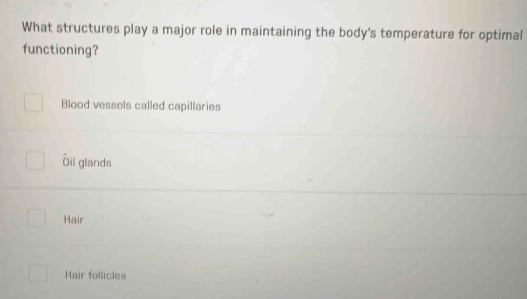 what structures play a major role in maintaining the bodys temperature …