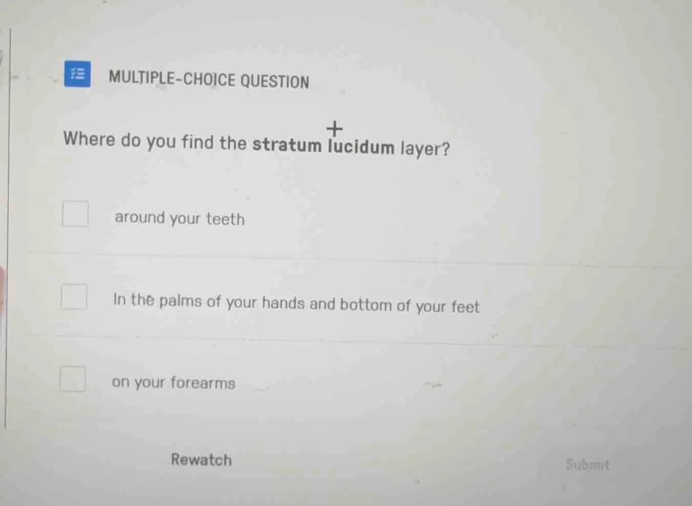 multiple-choice question where do you find the stratum lucidum layer? a…