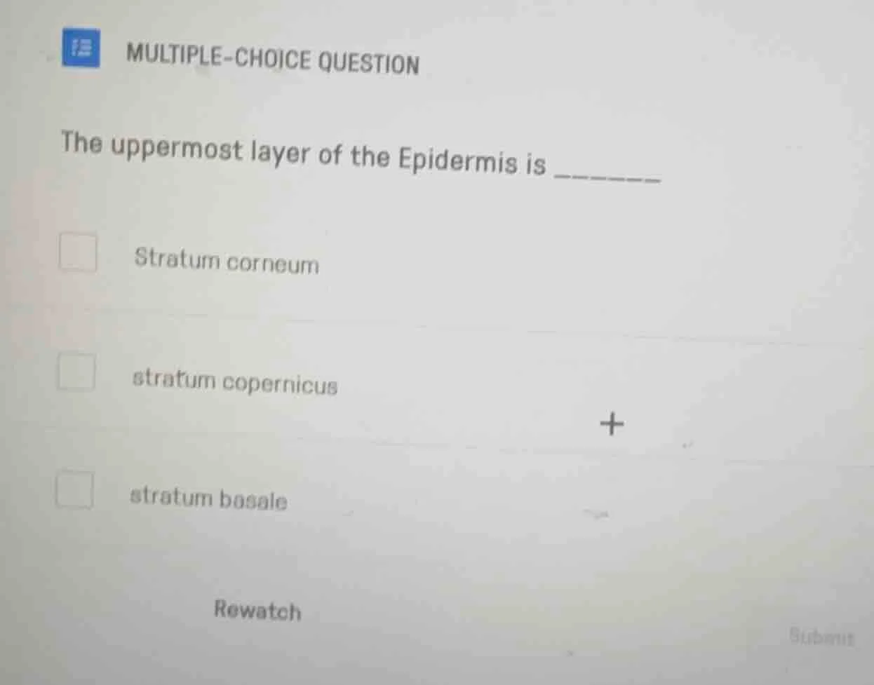 multiple-choice question the uppermost layer of the epidermis is stratu…