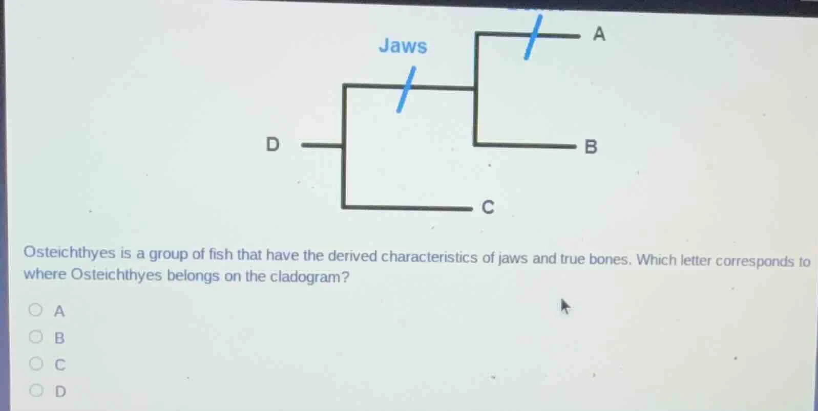 osteichthyes is a group of fish that have the derived characteristics o…