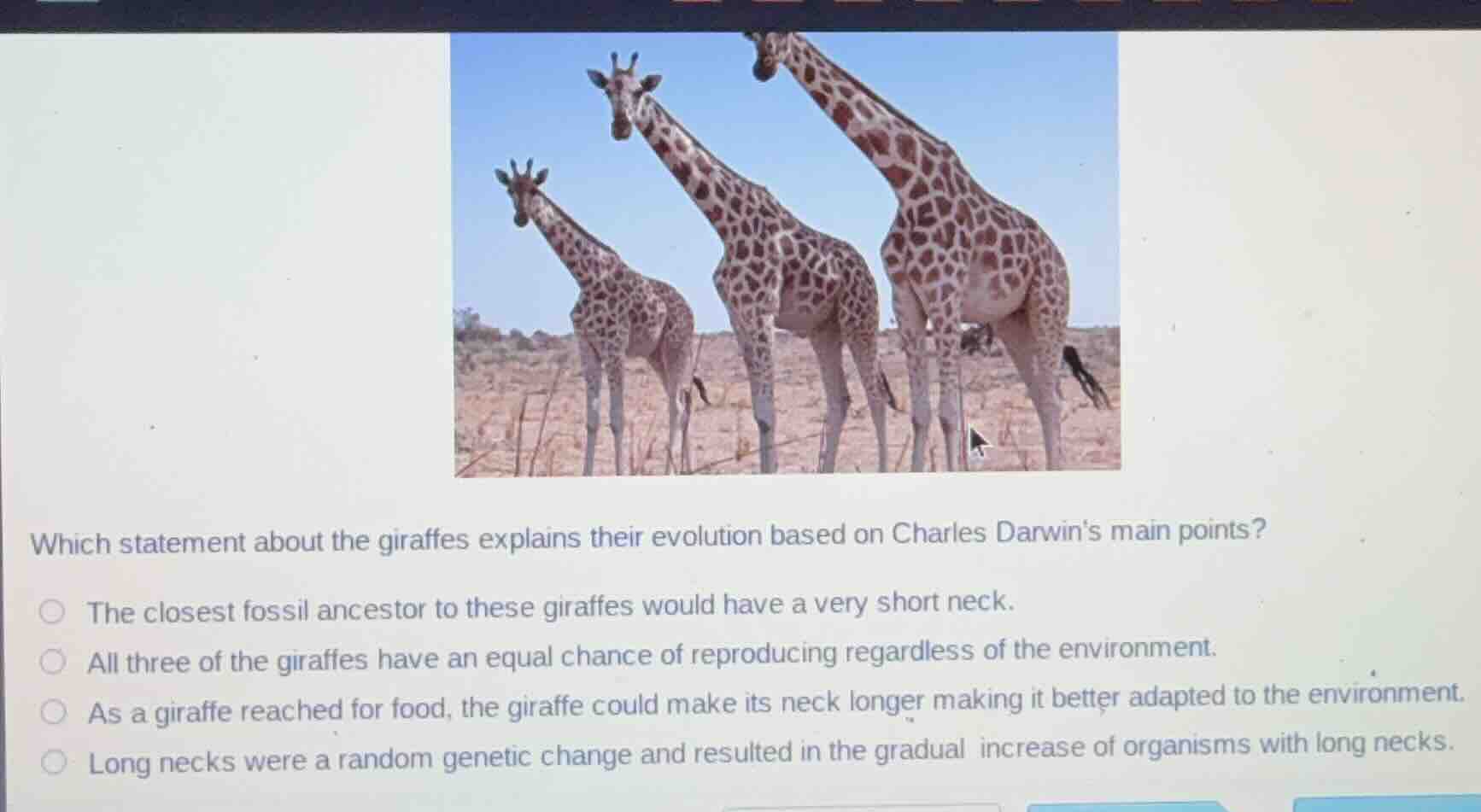 which statement about the giraffes explains their evolution based on ch…