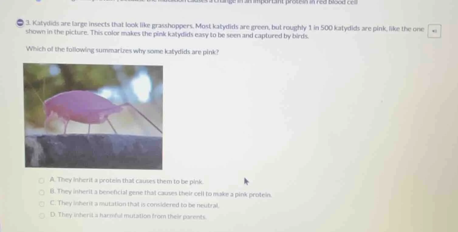 3. katydids are large insects that look like grasshoppers. most katydid…