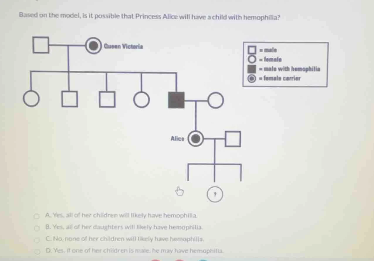 based on the model, is it possible that princess alice will have a chil…
