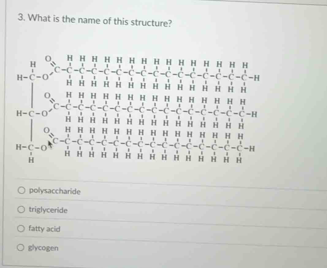 3. what is the name of this structure? options: polysaccharide triglyce…