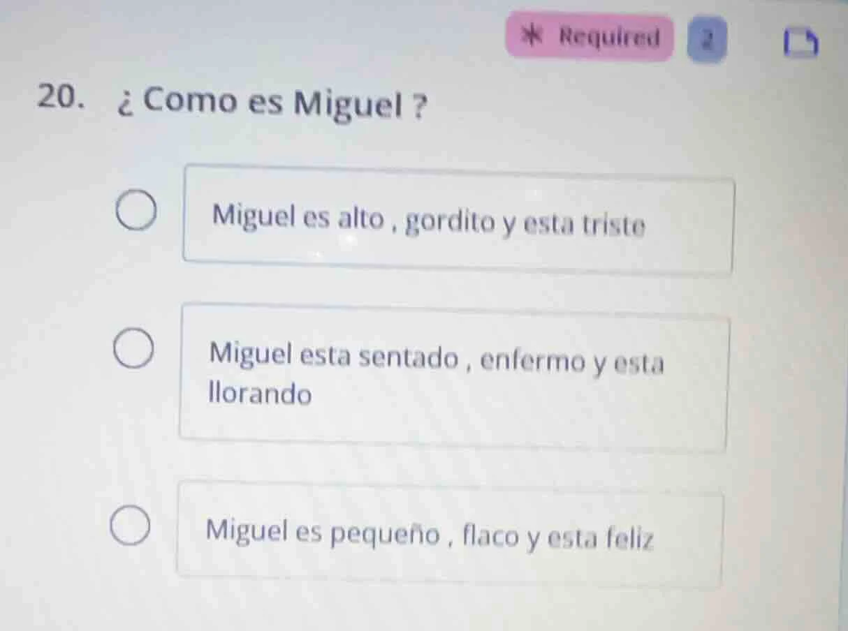 20. ¿como es miguel ? miguel es alto , gordito y esta triste miguel est…