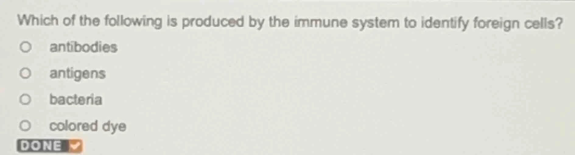 which of the following is produced by the immune system to identify for…