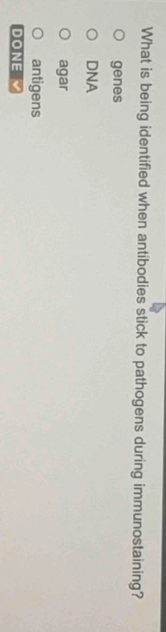 what is being identified when antibodies stick to pathogens during immu…