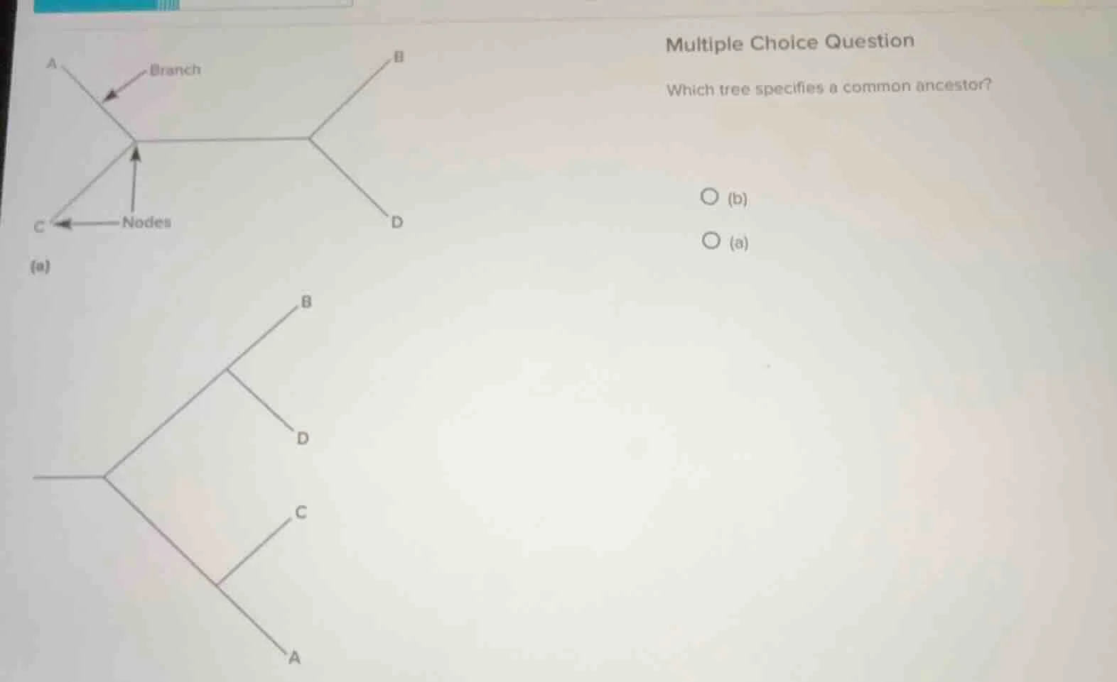 multiple choice question which tree specifies a common ancestor? ○ (b) …