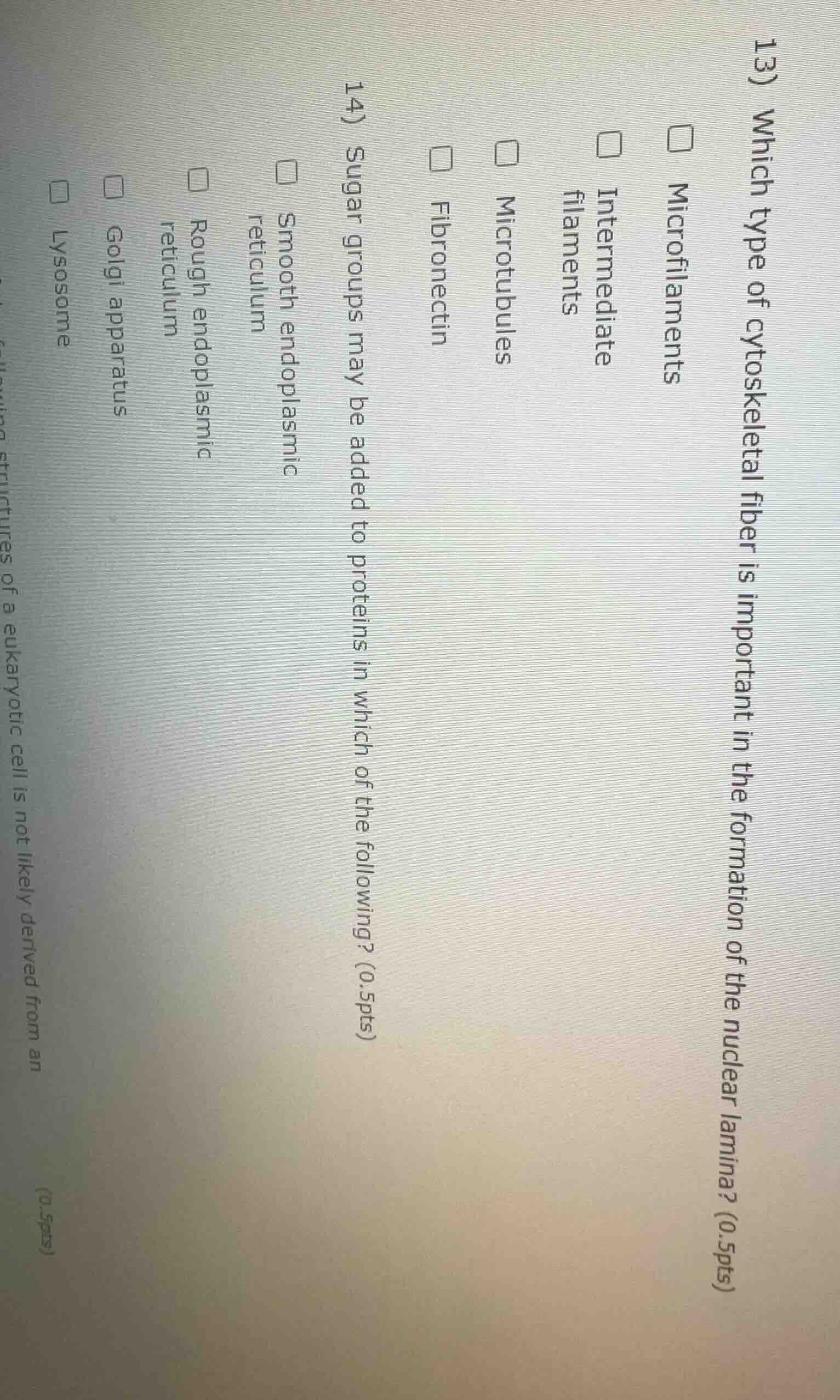 13) which type of cytoskeletal fiber is important in the formation of t…