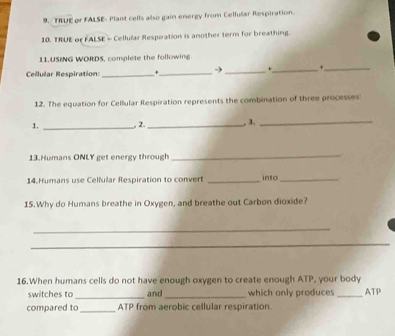 9. true or false: plant cells also gain energy from cellular respiratio…
