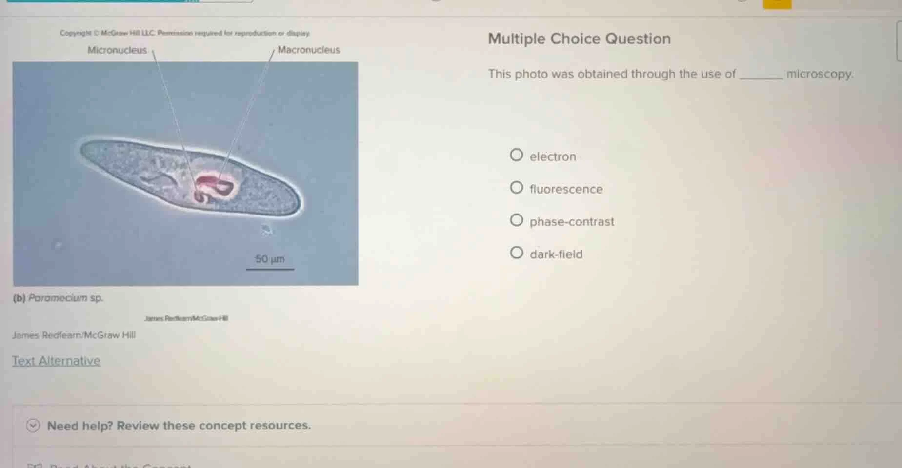 multiple choice question this photo was obtained through the use of ___…