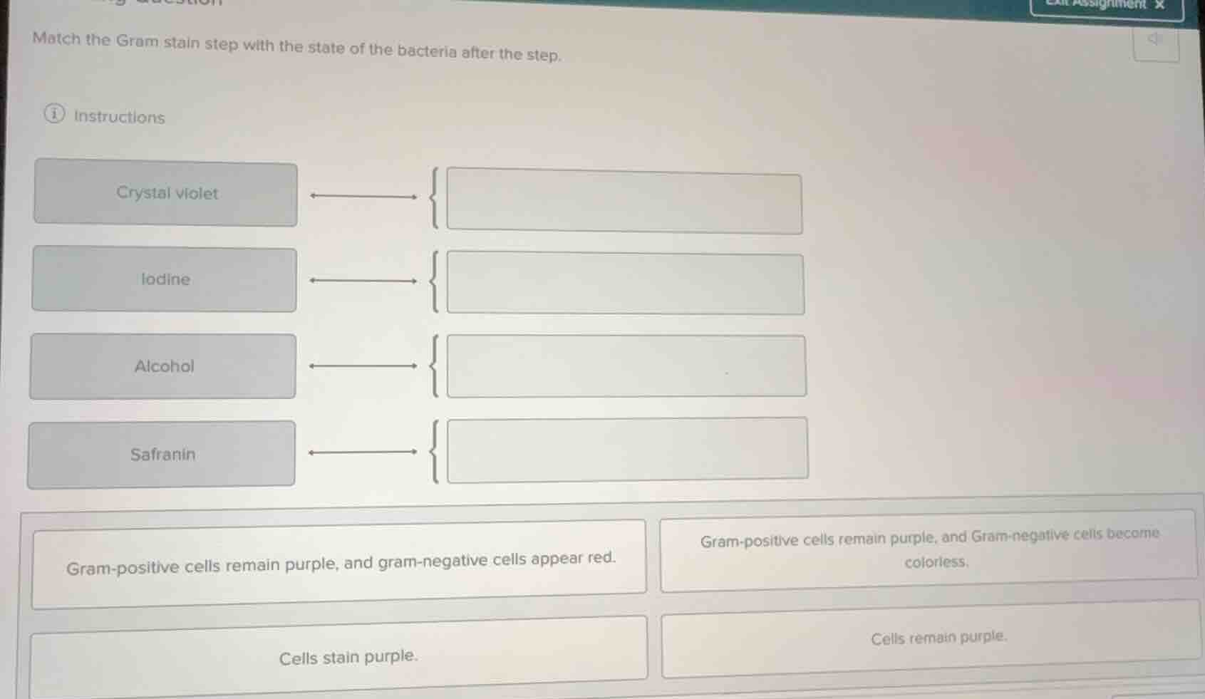 match the gram stain step with the state of the bacteria after the step…