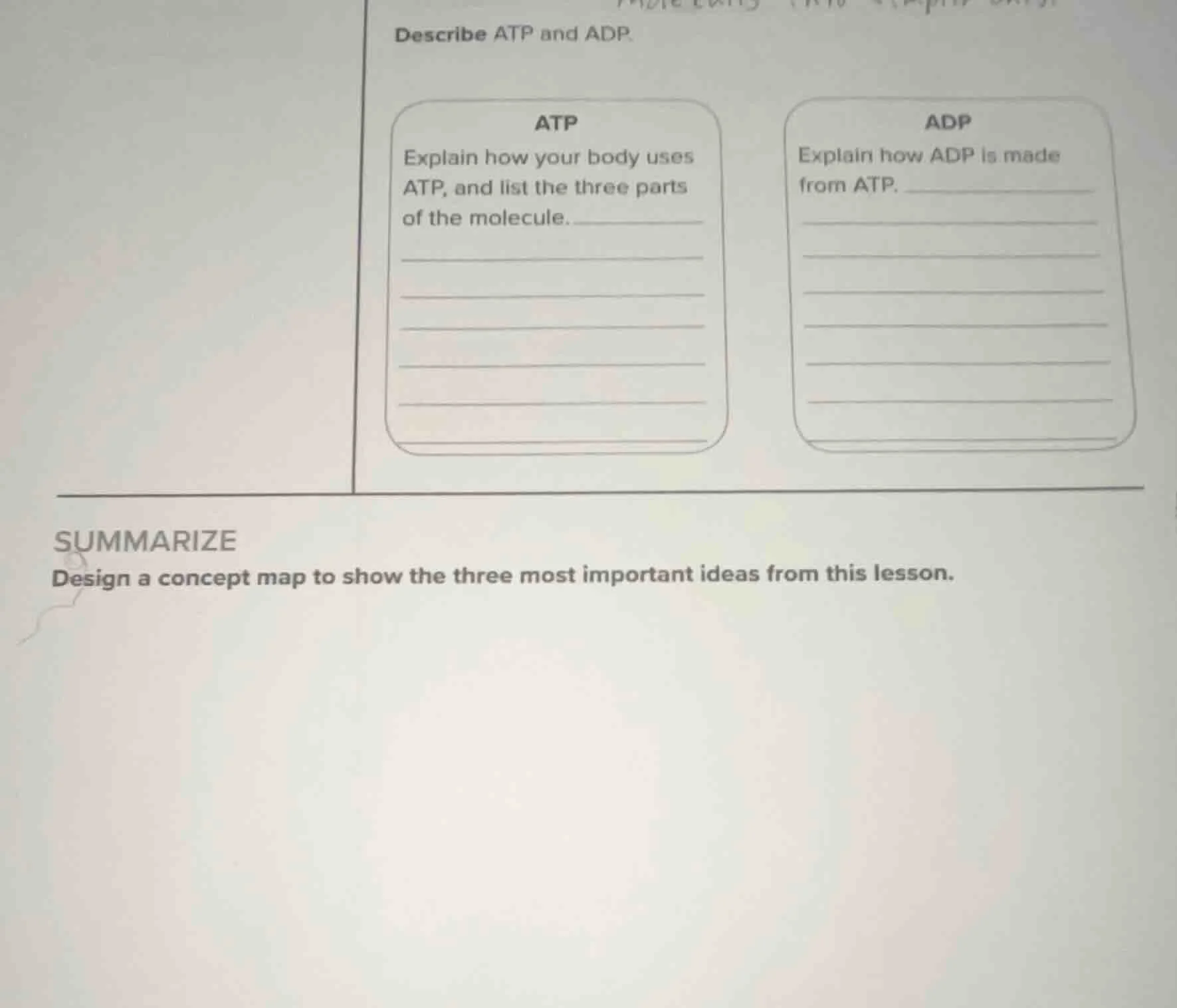 describe atp and adp. atp explain how your body uses atp, and list the …