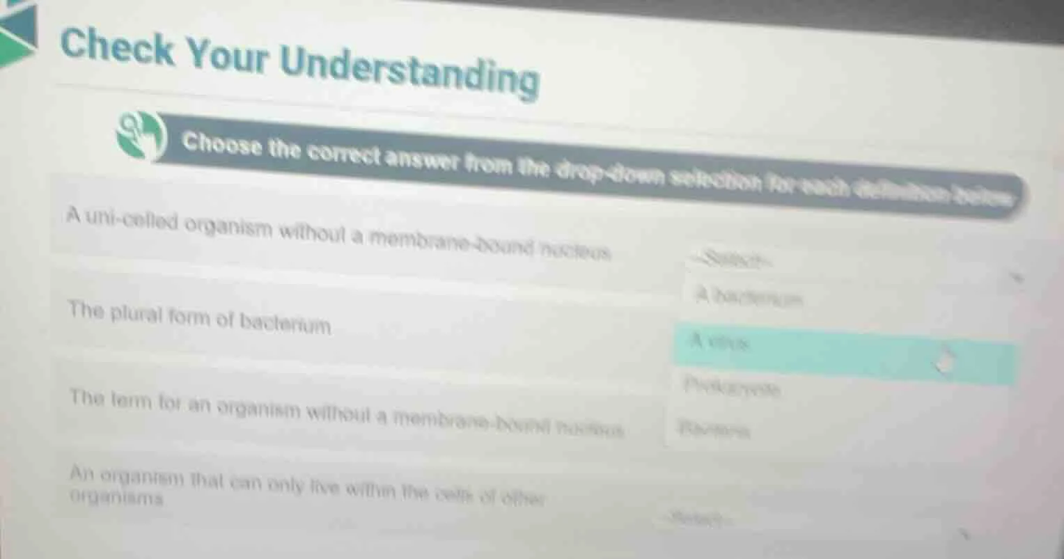 check your understanding choose the correct answer from the drop - down…
