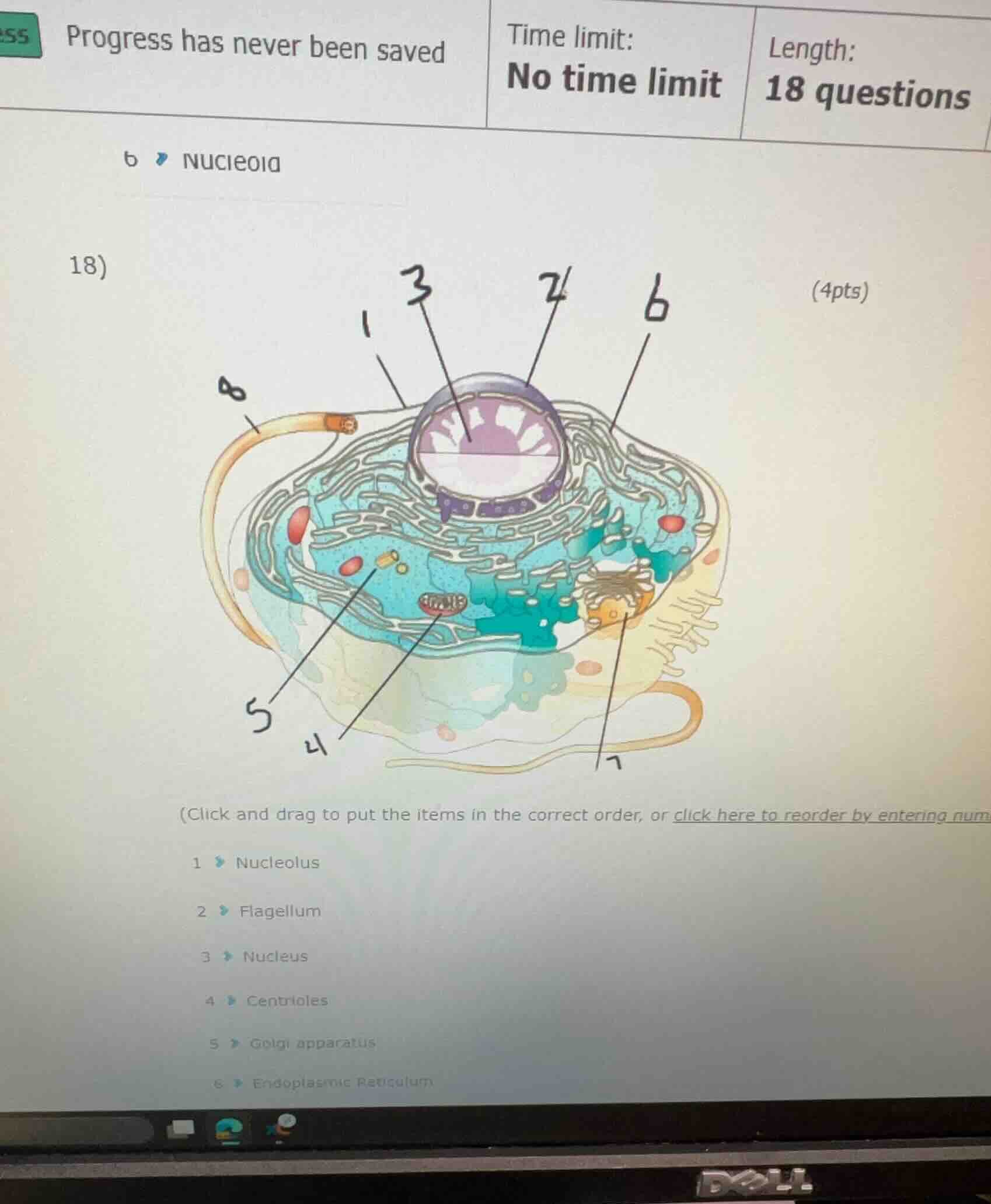18) (4pts) (click and drag to put the items in the correct order, or cl…