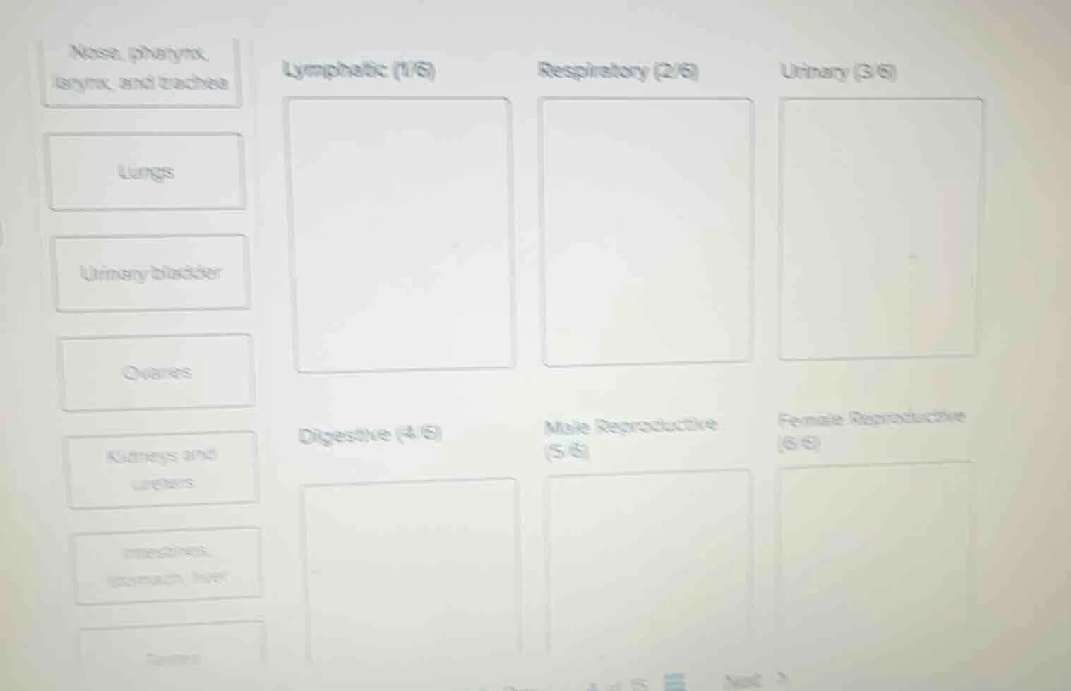 nose, pharynx, larynx, and trachea; lungs; urinary bladder; ovaries; ki…