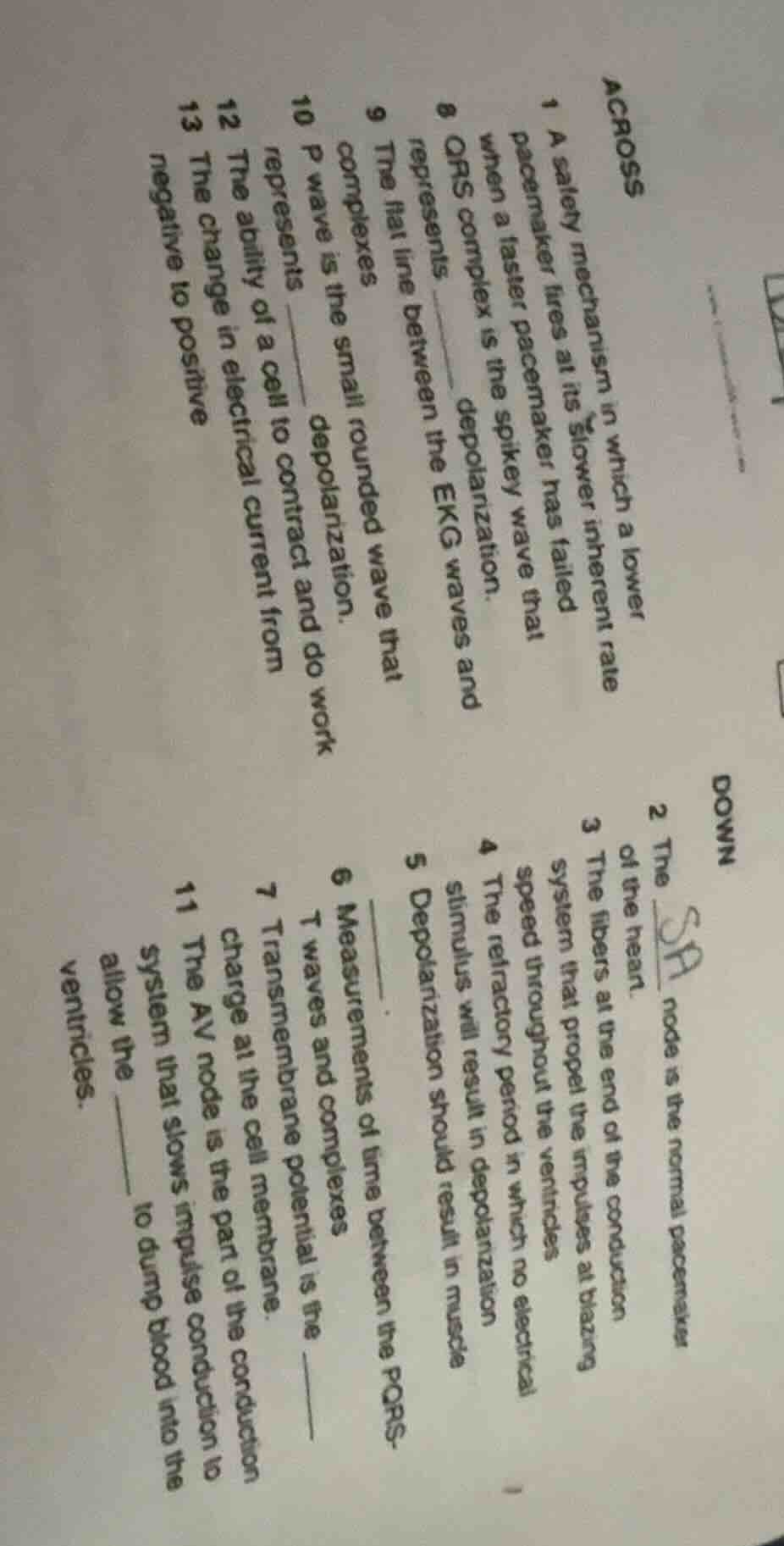across 1 a safety mechanism in which a lower pacemaker fires at its slo…
