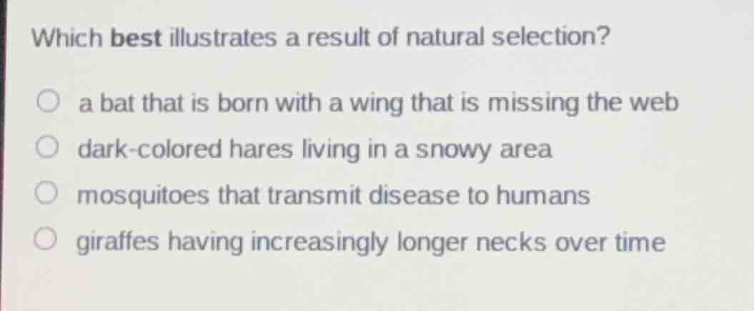 which best illustrates a result of natural selection? a bat that is bor…