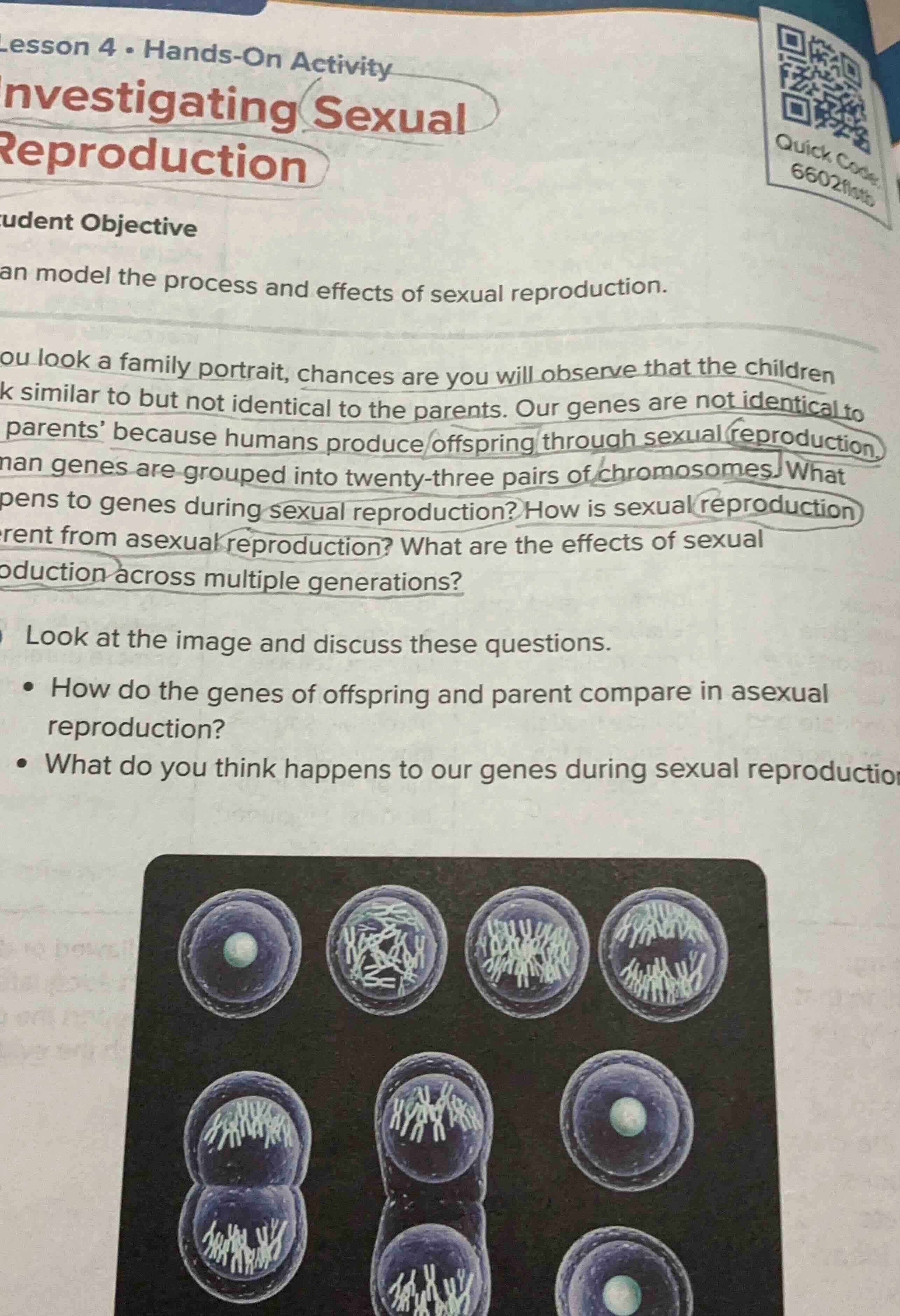 lesson 4 • hands-on activity investigating sexual reproduction udent ob…
