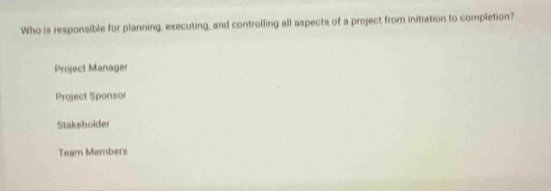 who is responsible for planning, executing, and controlling all aspects…