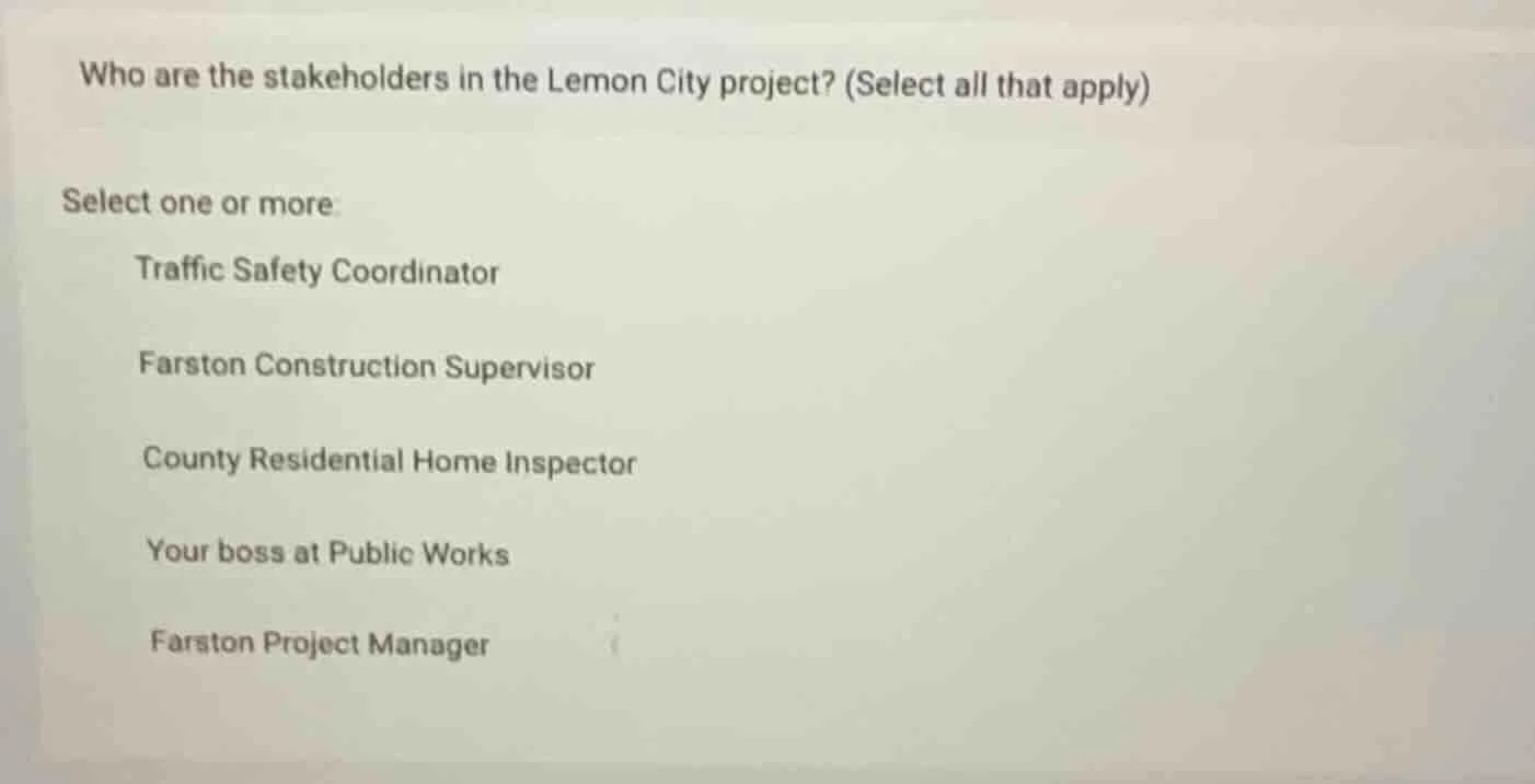 who are the stakeholders in the lemon city project? (select all that ap…