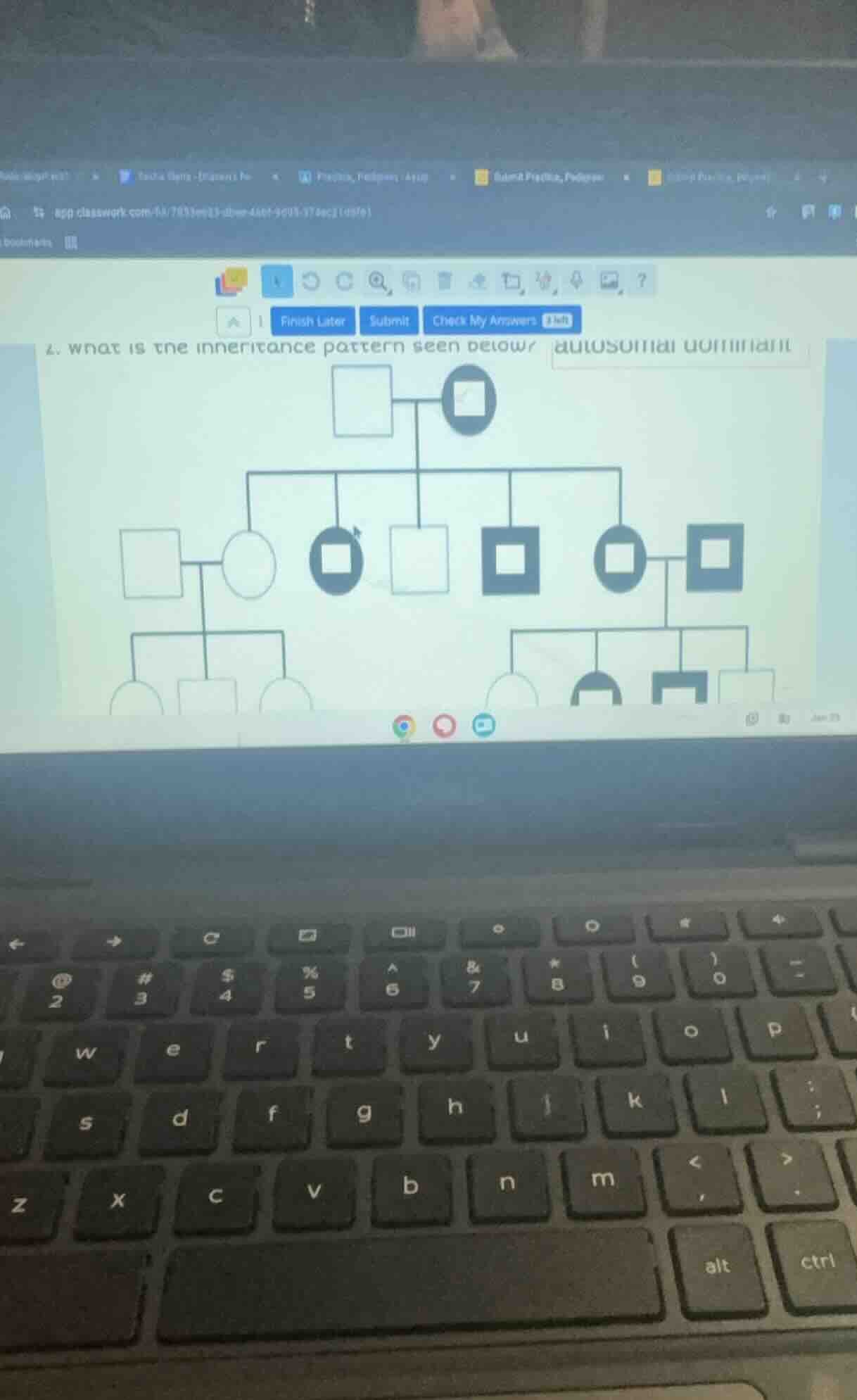 2. what is the inheritance pattern seen below? autosomal dominant