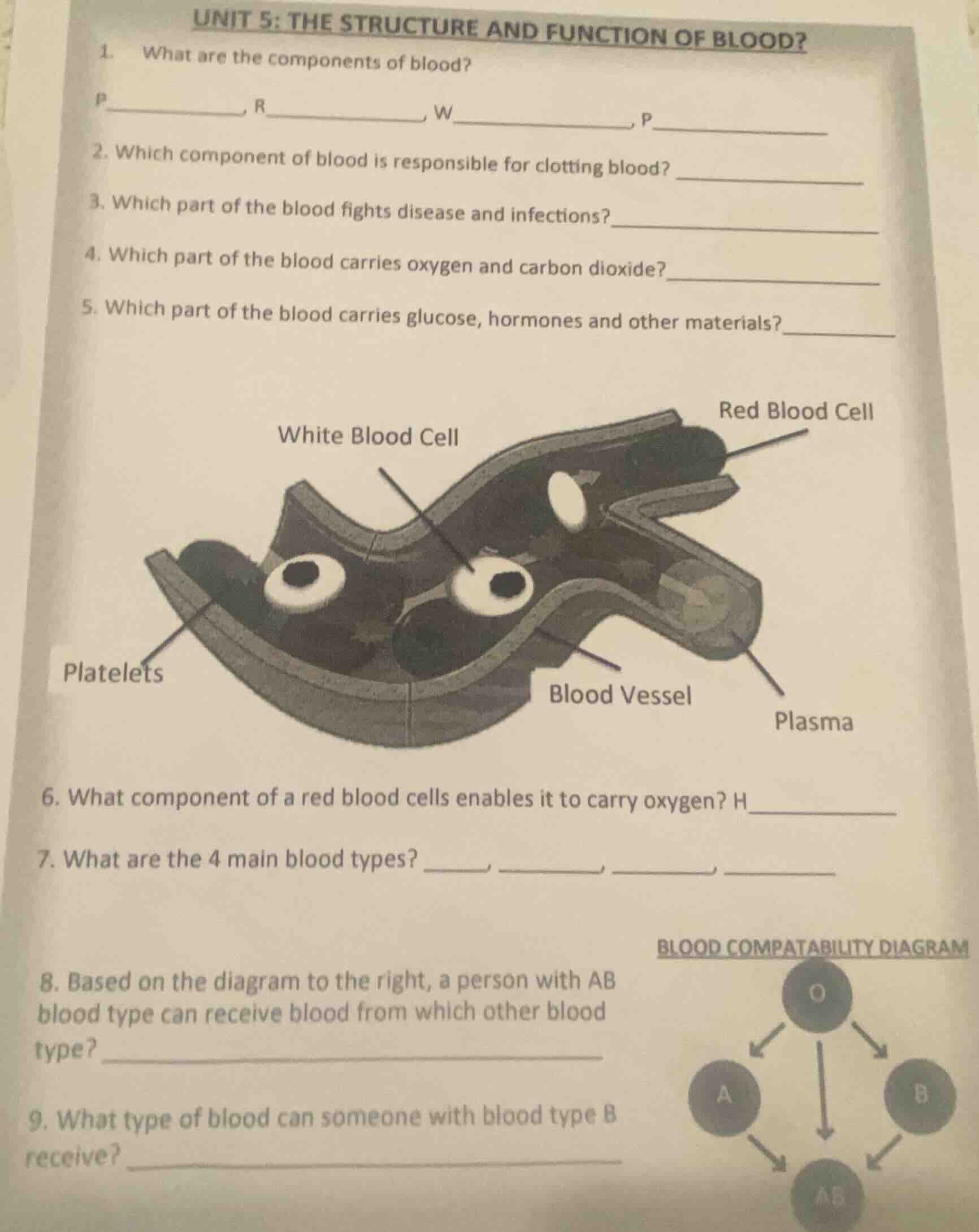 unit 5: the structure and function of blood? 1. what are the components…
