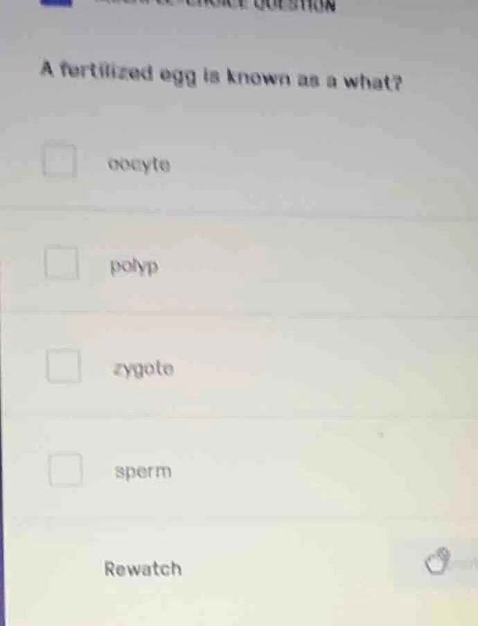 a fertilized egg is known as a what? oocyte polyp zygote sperm rewatch