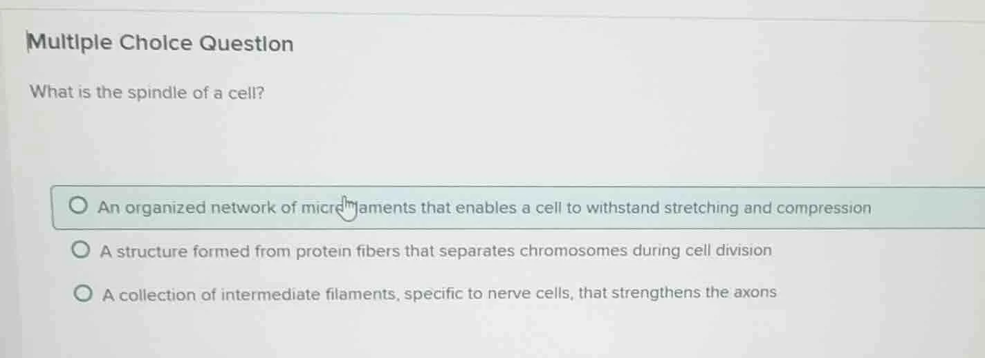 multiple choice question what is the spindle of a cell? an organized ne…