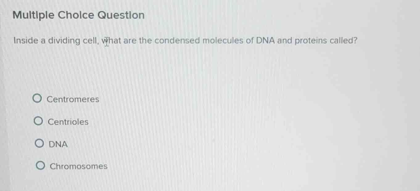 multiple choice question inside a dividing cell, what are the condensed…