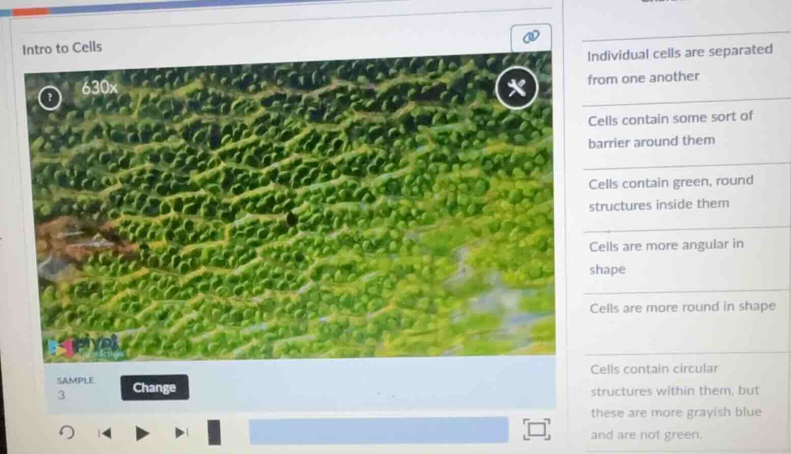 intro to cells sample 3 change individual cells are separated from one …