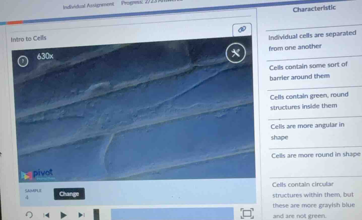 intro to cells sample 4 change characteristic individual cells are sepa…