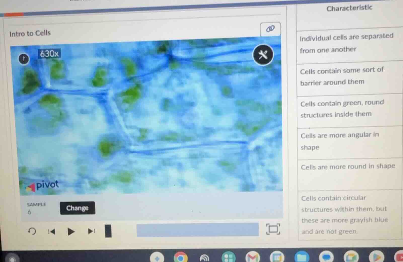 intro to cells sample 6 change characteristic individual cells are sepa…