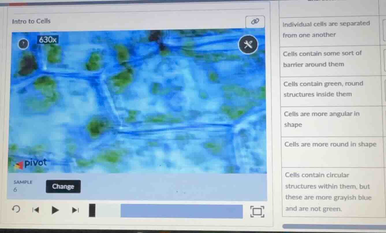 intro to cells sample 6 change individual cells are separated from one …
