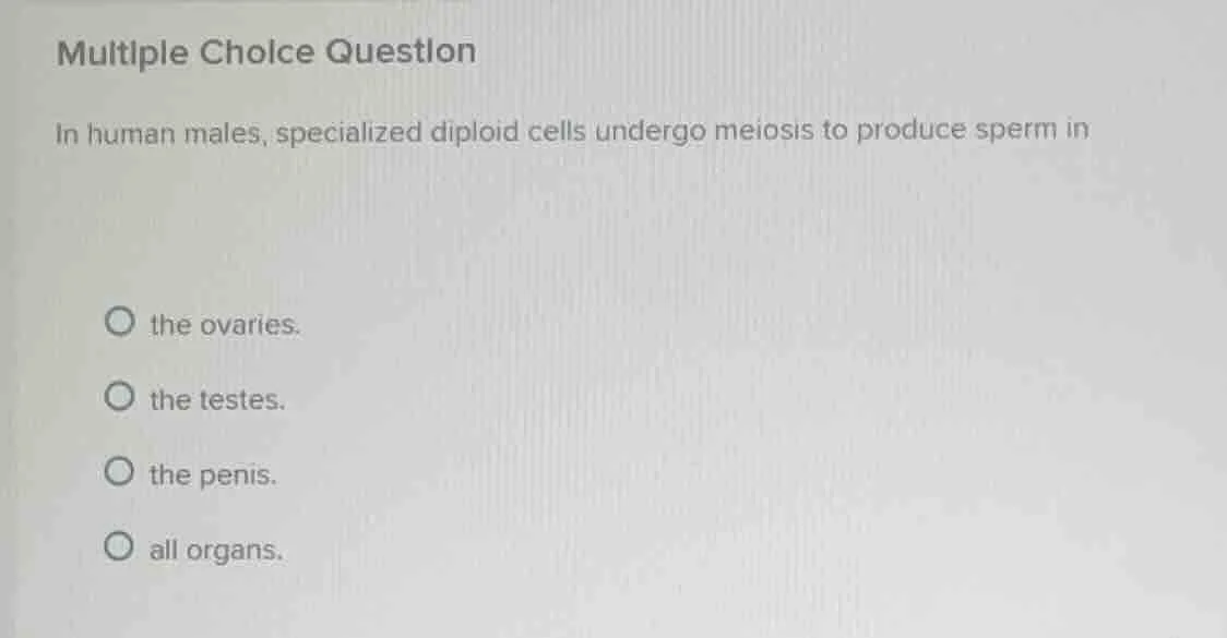 multiple choice question in human males, specialized diploid cells unde…