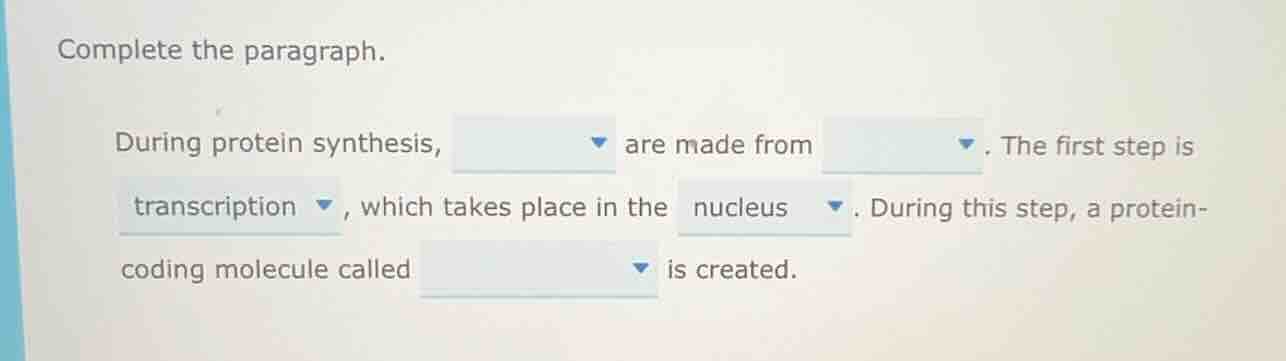 complete the paragraph. during protein synthesis, are made from . the f…