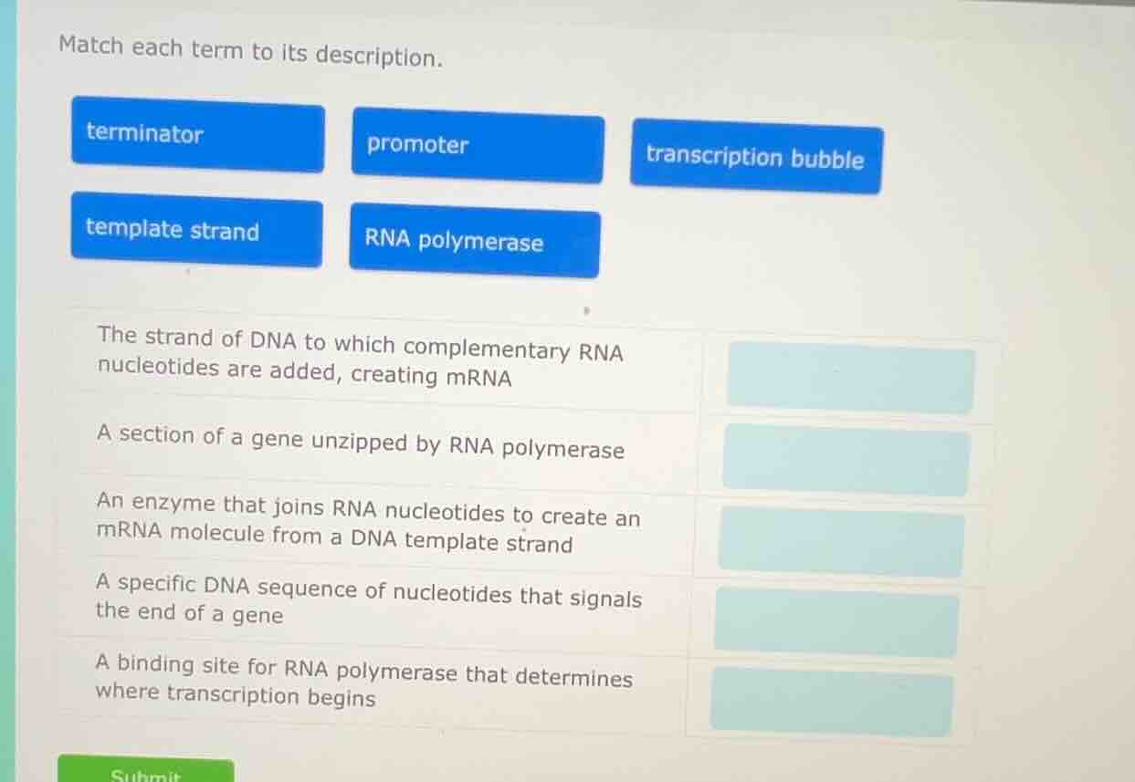 match each term to its description. terminator promoter transcription b…