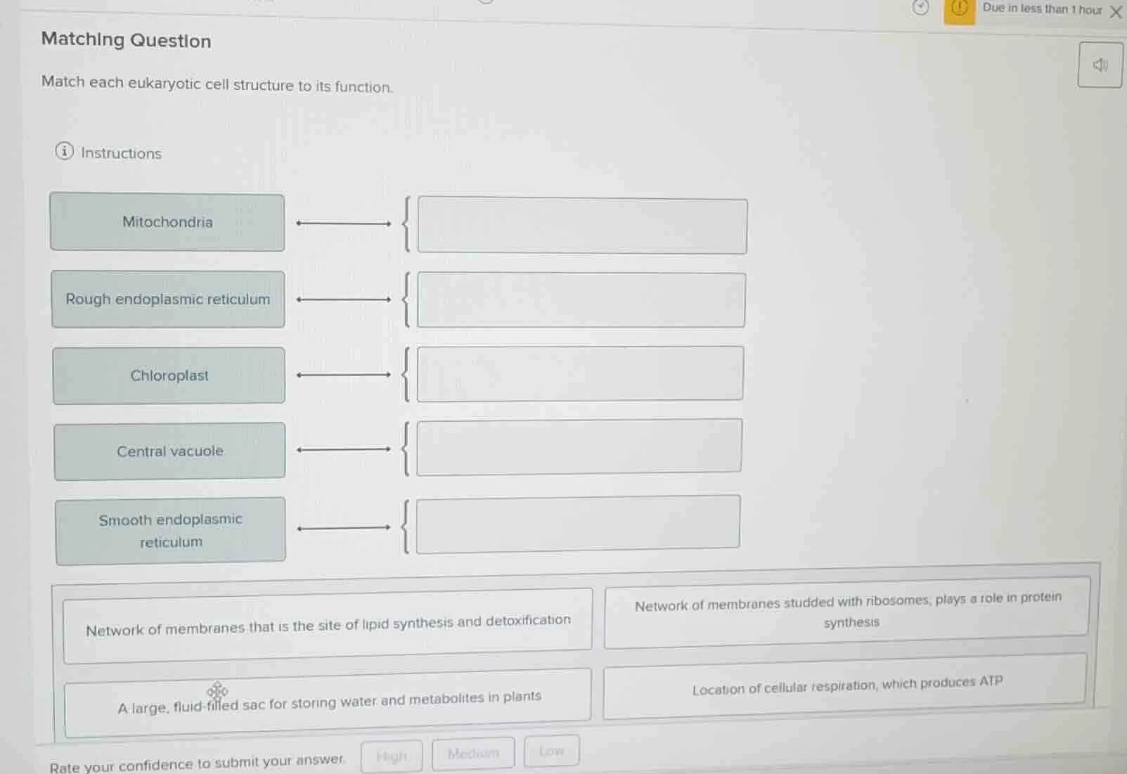 matching question match each eukaryotic cell structure to its function.…