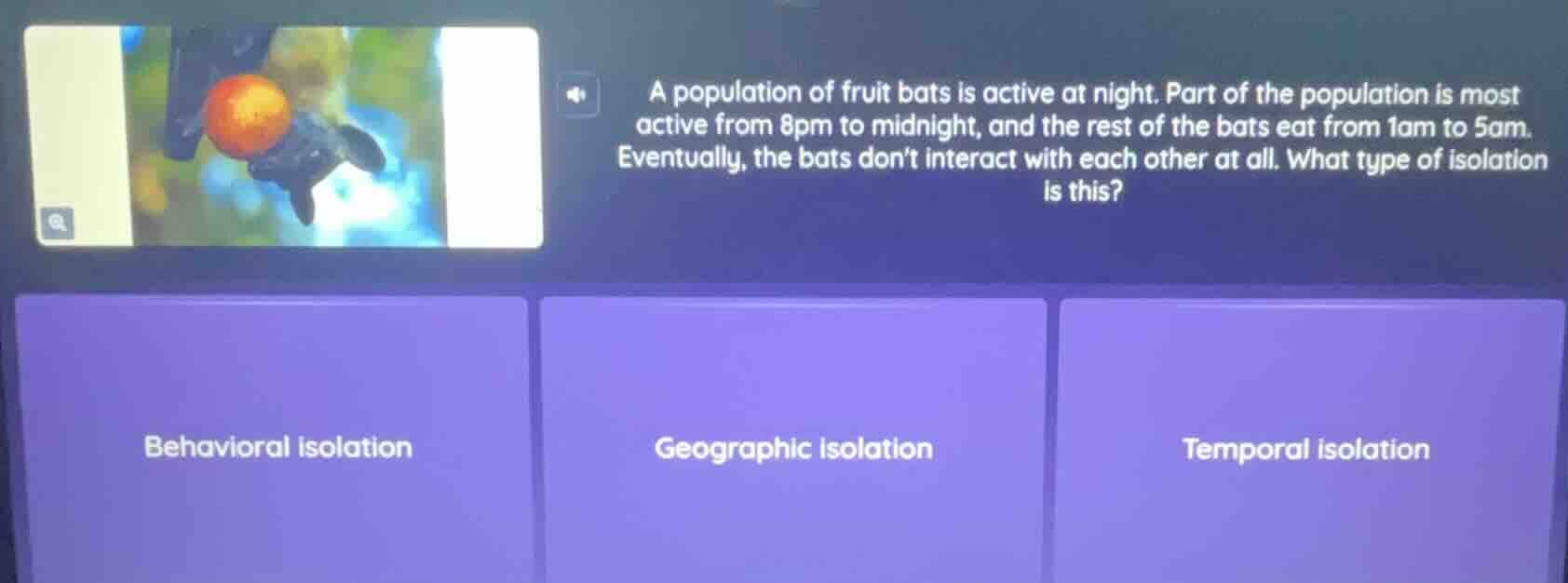 a population of fruit bats is active at night. part of the population i…