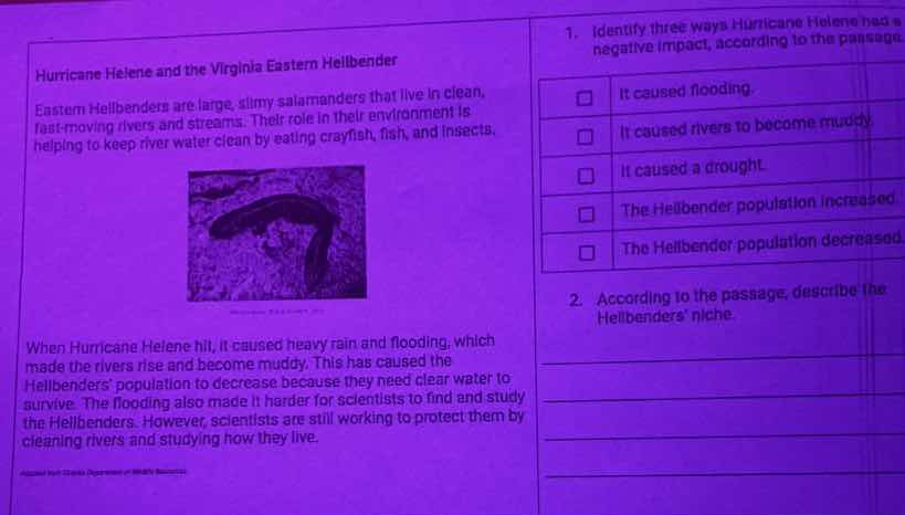 hurricane helene and the virginia eastern hellbender eastern hellbender…