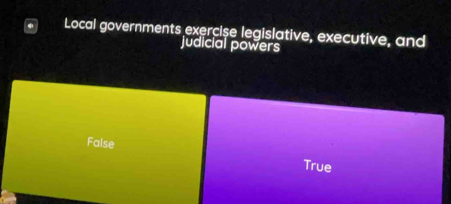 local governments exercise legislative, executive, and judicial powers