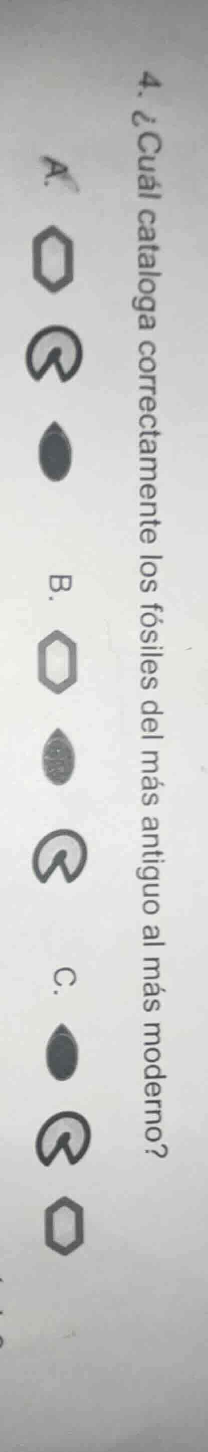 4. ¿cuál cataloga correctamente los fósiles del más antiguo al más mode…