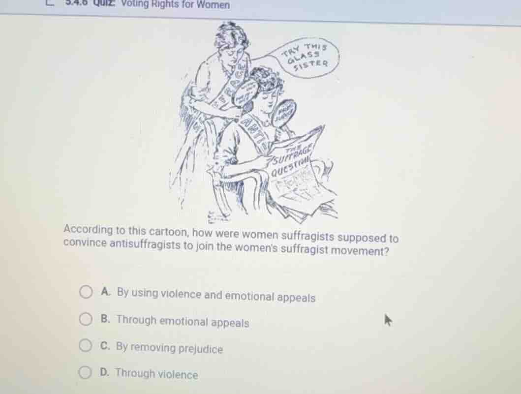 according to this cartoon, how were women suffragists supposed to convi…