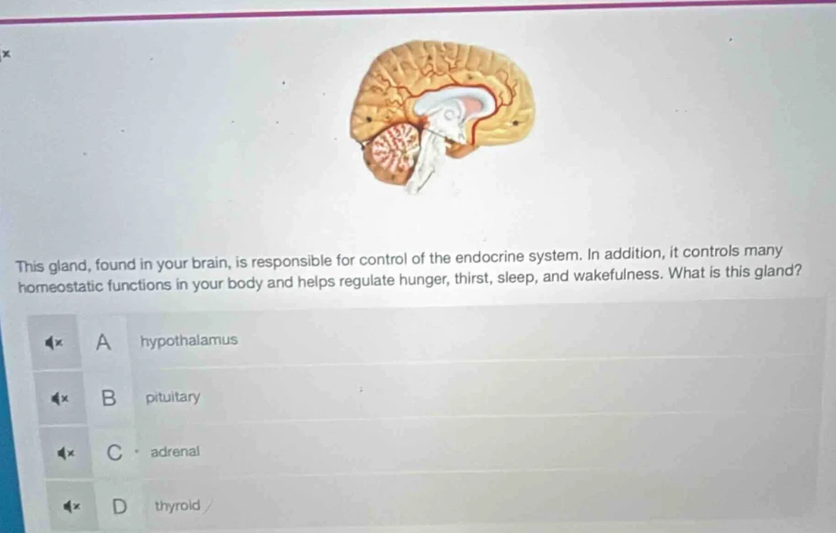 this gland, found in your brain, is responsible for control of the endo…