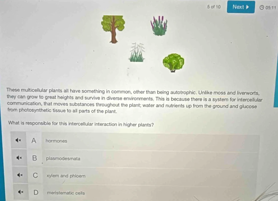 these multicellular plants all have something in common, other than bei…