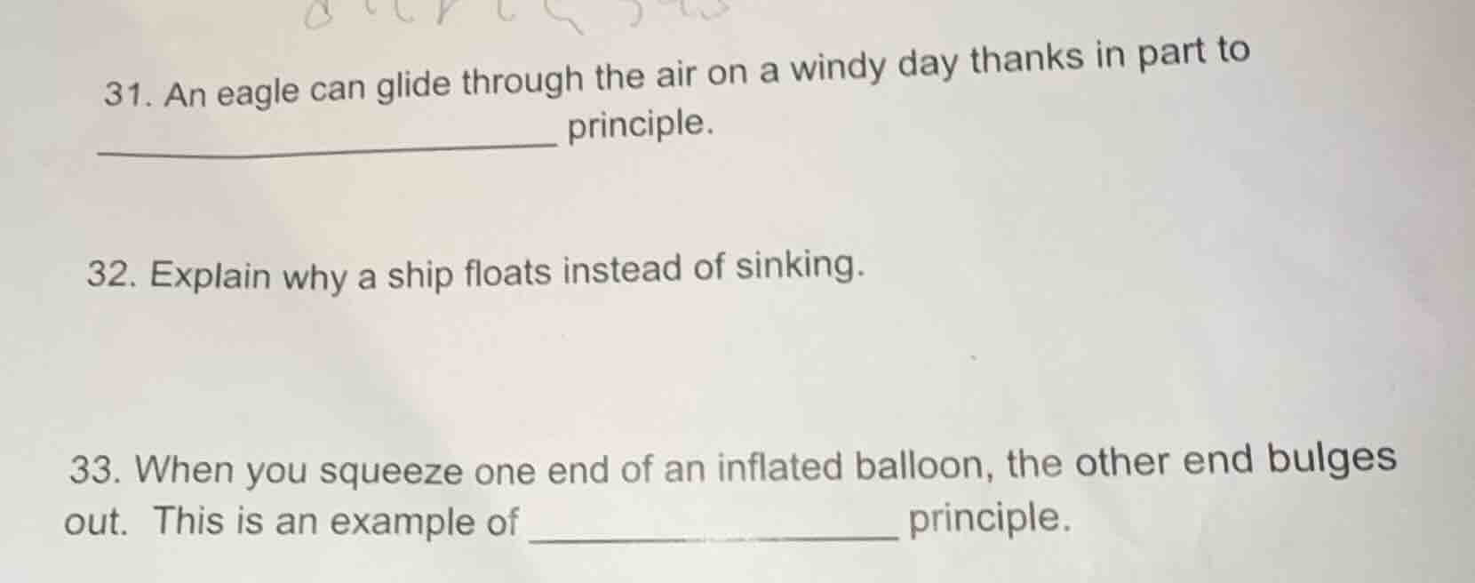 31. an eagle can glide through the air on a windy day thanks in part to…