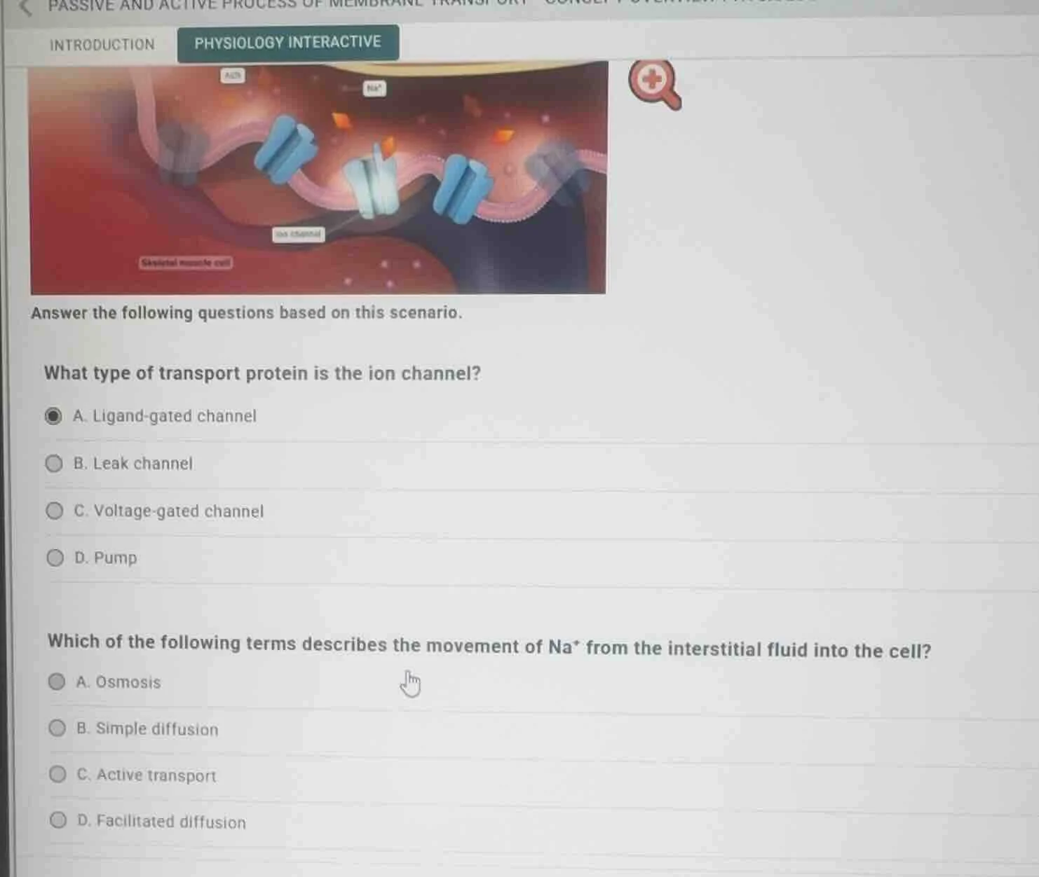 answer the following questions based on this scenario. what type of tra…