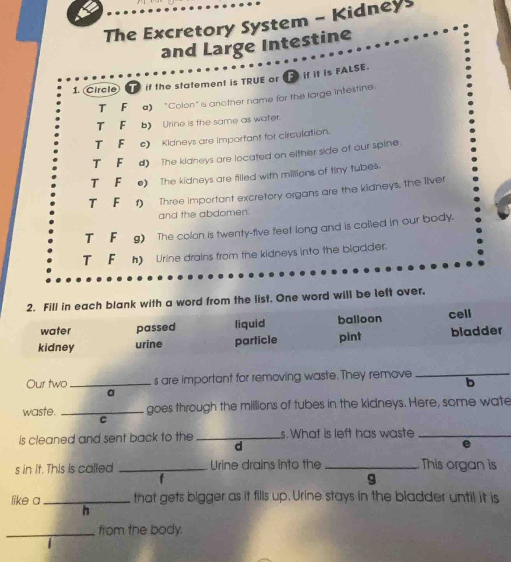 the excretory system - kidneys and large intestine 1. circle t if the s…