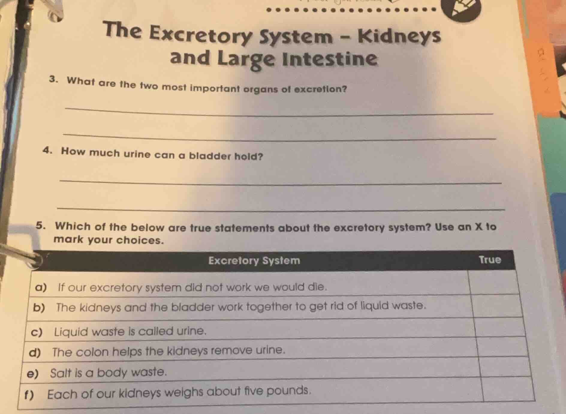 the excretory system - kidneys and large intestine 3. what are the two …